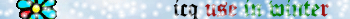 icq winter
