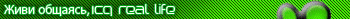   ICQ - 2
