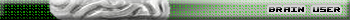 Brain User
