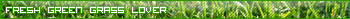 Grass