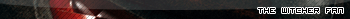 The Witcher Fan