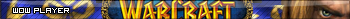 WoW Player