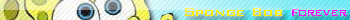 Sponge Bob
